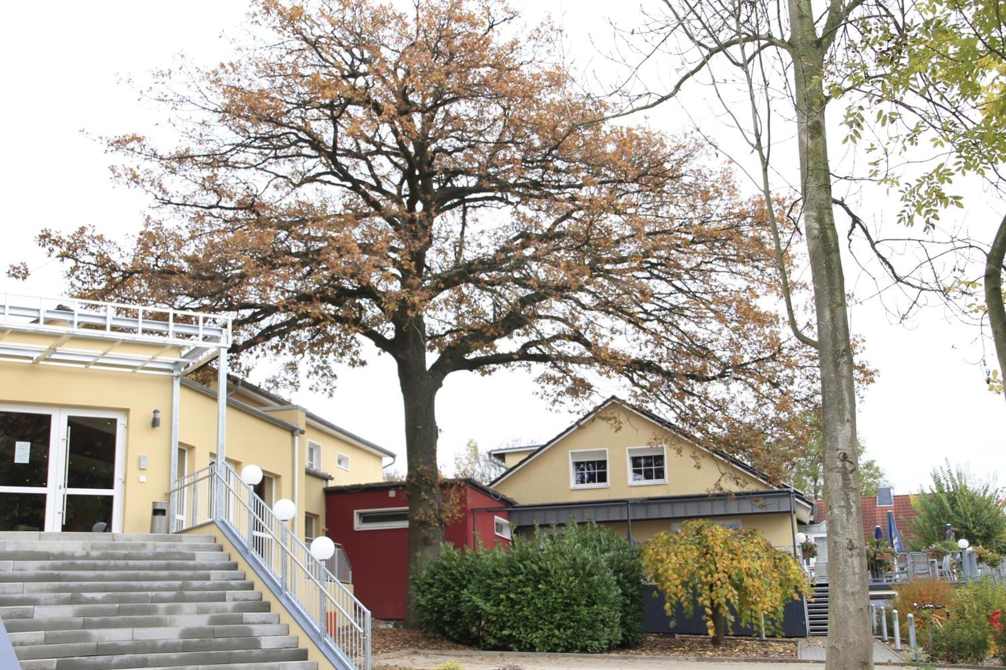 Hotel Weserschiffchen Porta Westfalica Exterior photo